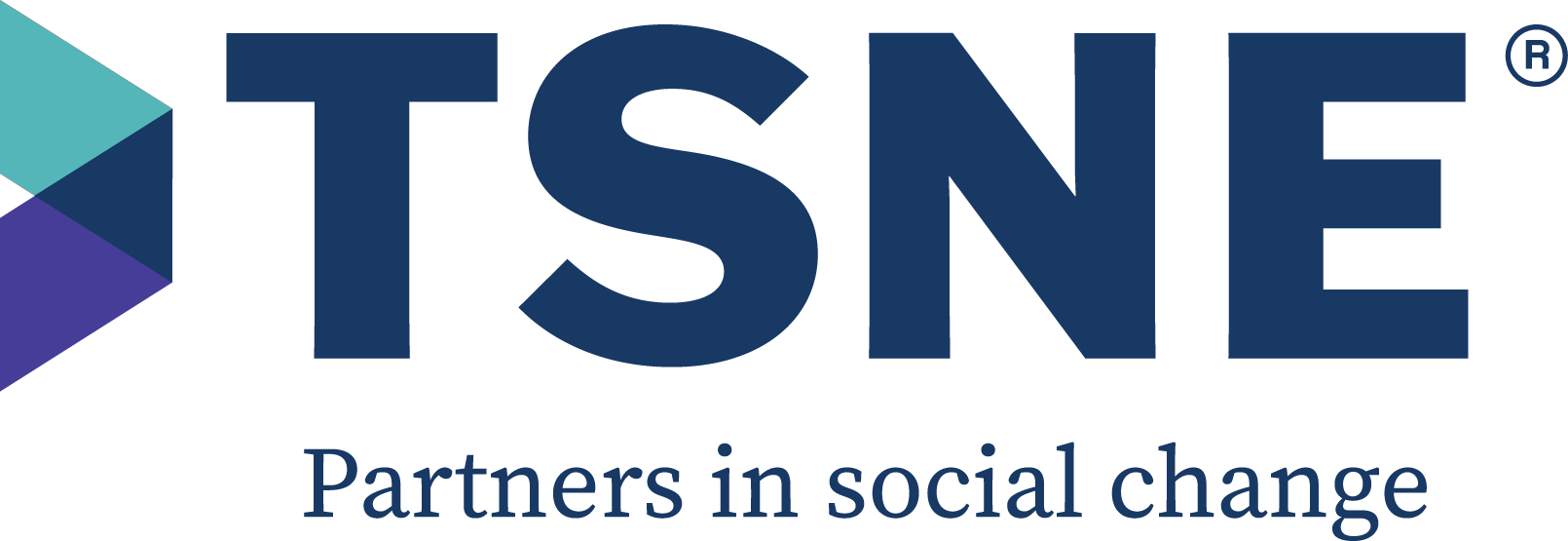 TSNE logo with tagline partners in social change