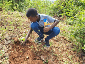 child planting trees