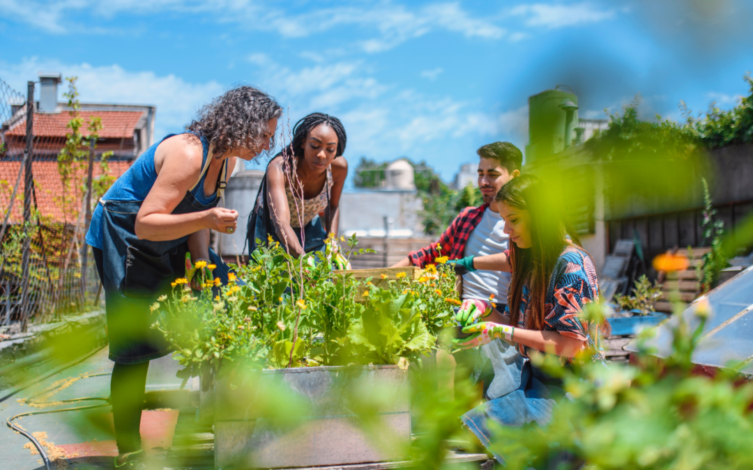 Healthy Places by Design: Supporting Communities for Connection Through Activating Boston