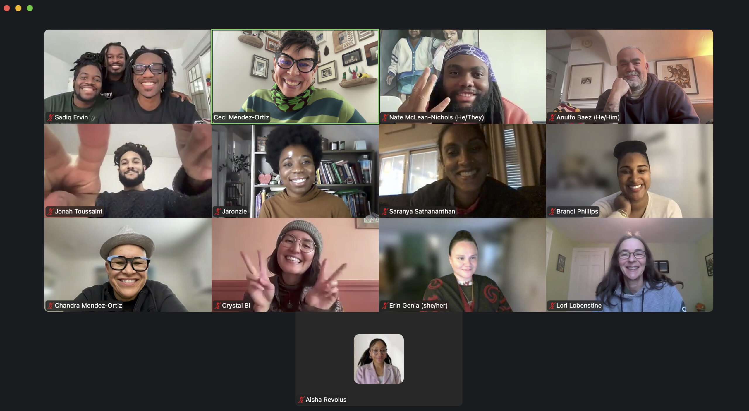 Screenshot Zoom screenshot capturing participants