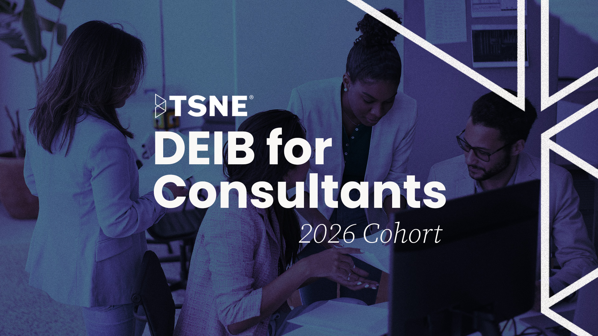 DEIB For Consultants 2026 Cohort