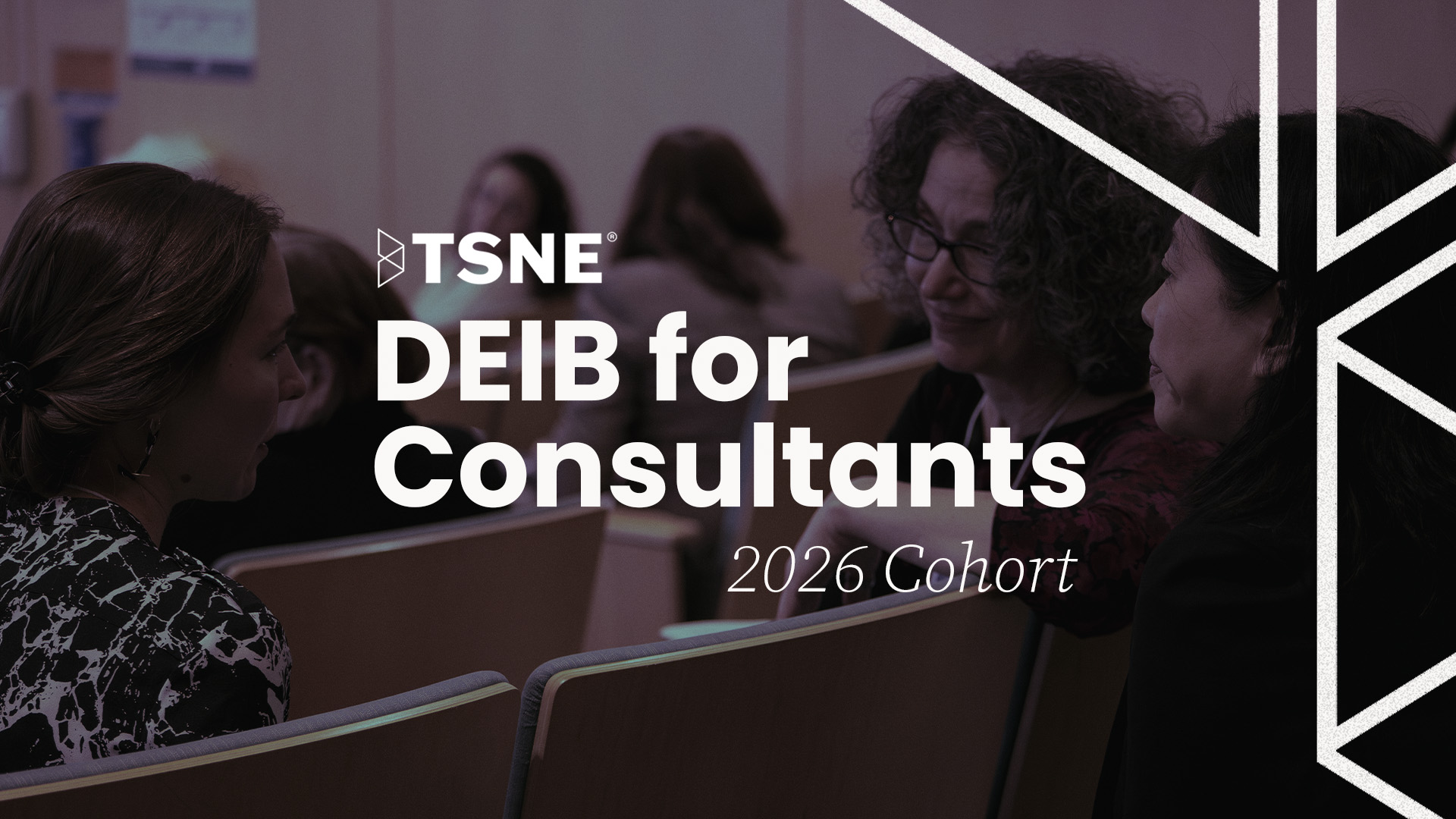 TSNE's DEIB for Consultants